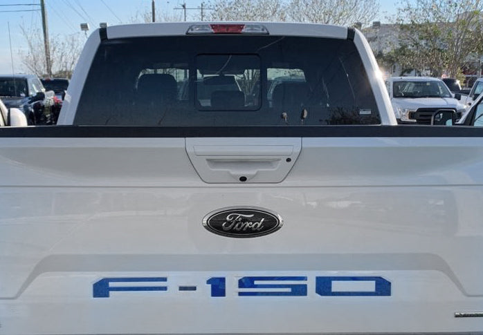 Ford F150 18-20 1-Piece Rear TAILGATE Acrylic Emblem Insert in Blue