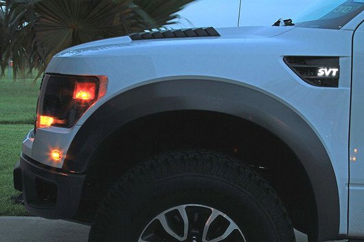 Ford SVT Raptor 09-14 Illuminated Emblems Black in White Illumination
