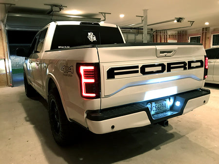 Ford F150 15-17 &amp; Raptor 17-19 Tail Lights OLED in Smoked