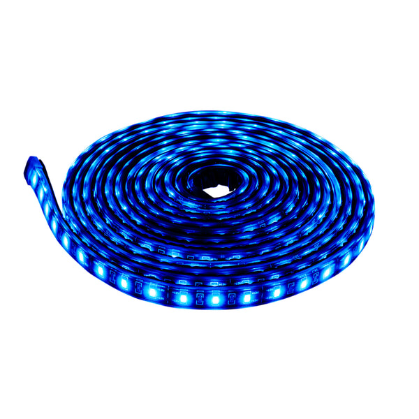 264704BL_2000x2000_Lit_grande.